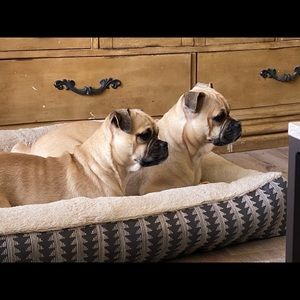 Meet your Posher, Gabriel